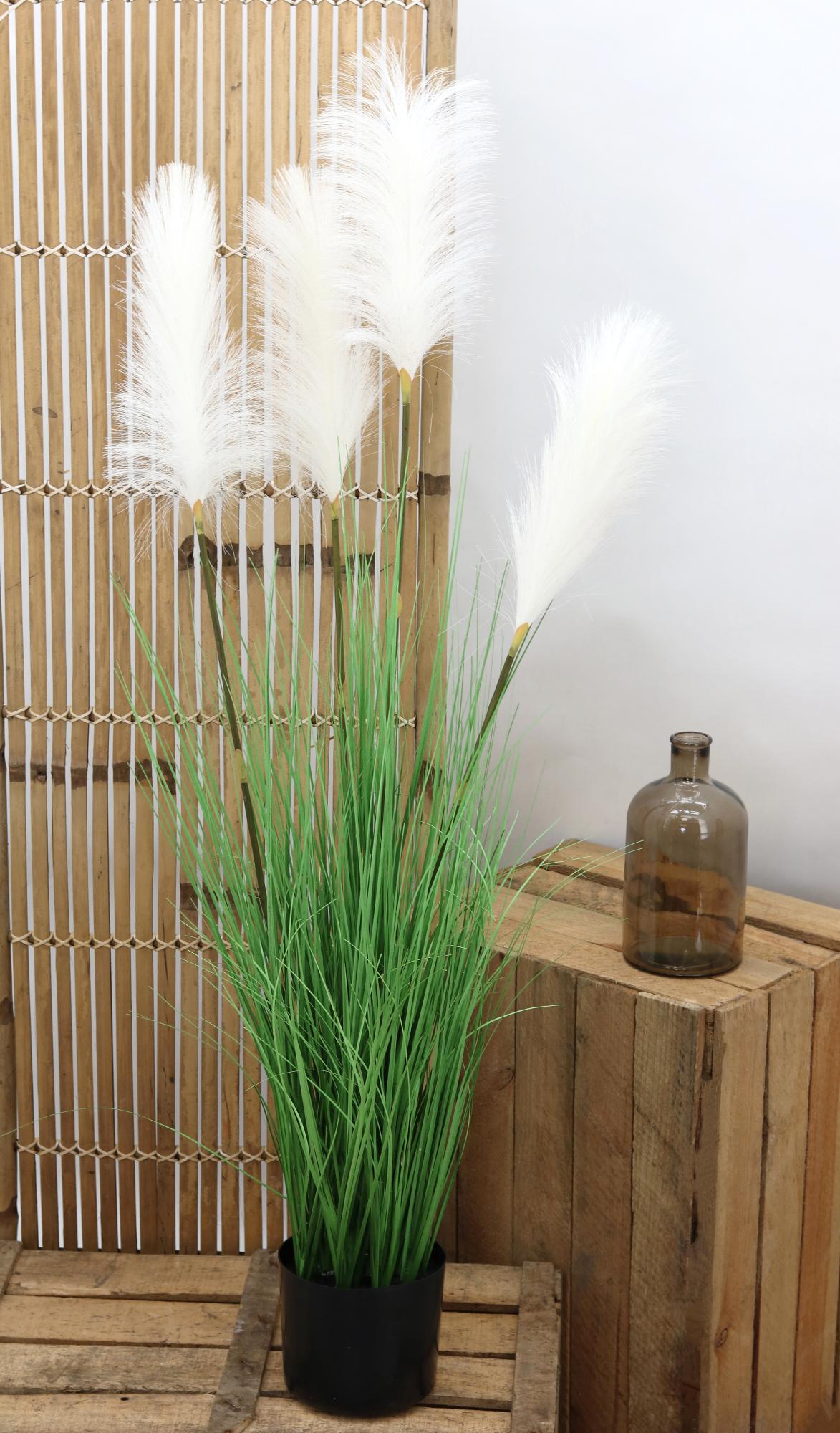 Graminée et plumeaux blancs en pot noir, plante artificielle, H110 cm Ligne  Déco | Leroy Merlin