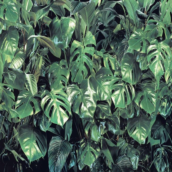 Photo murale Hide Out vert et beige, l.368 x H.254.0 cm