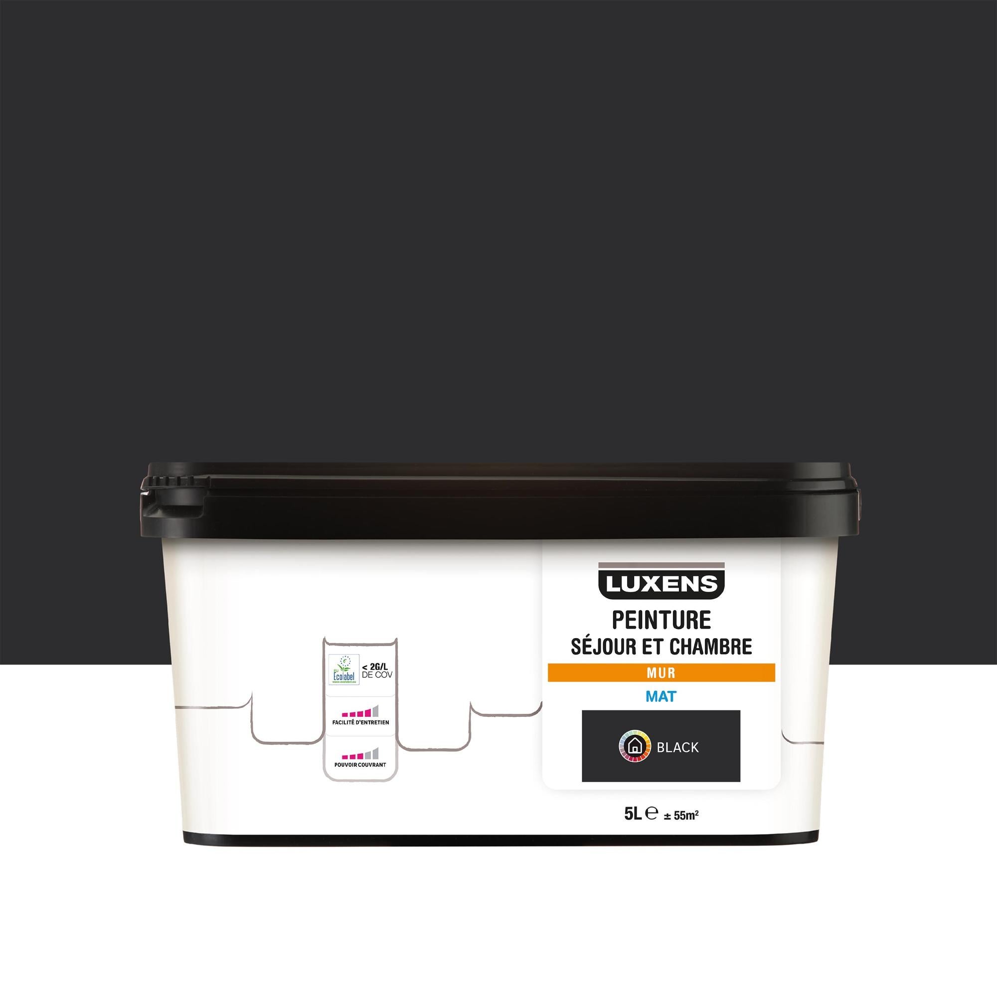 Peinture mur noir LUXENS . mat 5l Leroy Merlin