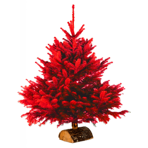 La décoration ultime pour bûches de Noël : le sapin sous toutes ses formes  PAQUET DE 100 Designation Décors buche sapin plat 5cm