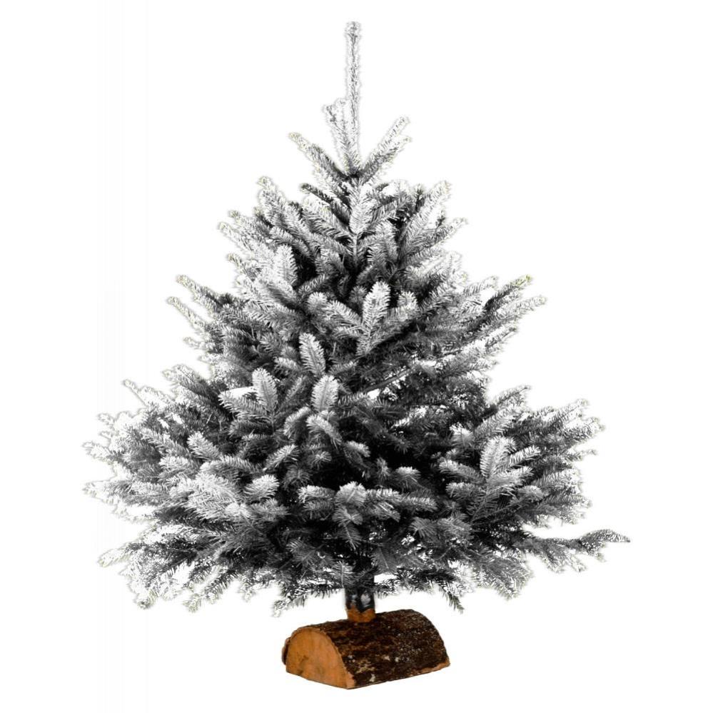sapin naturel pungens glace or h 70 80 cm leroy merlin