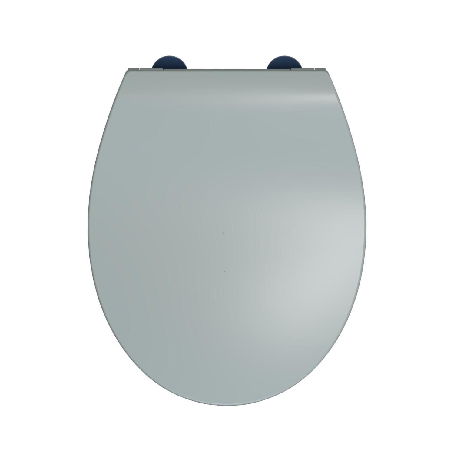 Abattant wc gris avec frein de chute best sale