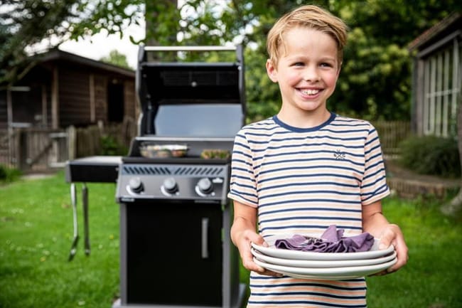 Napoleon clearance rogue r425pk