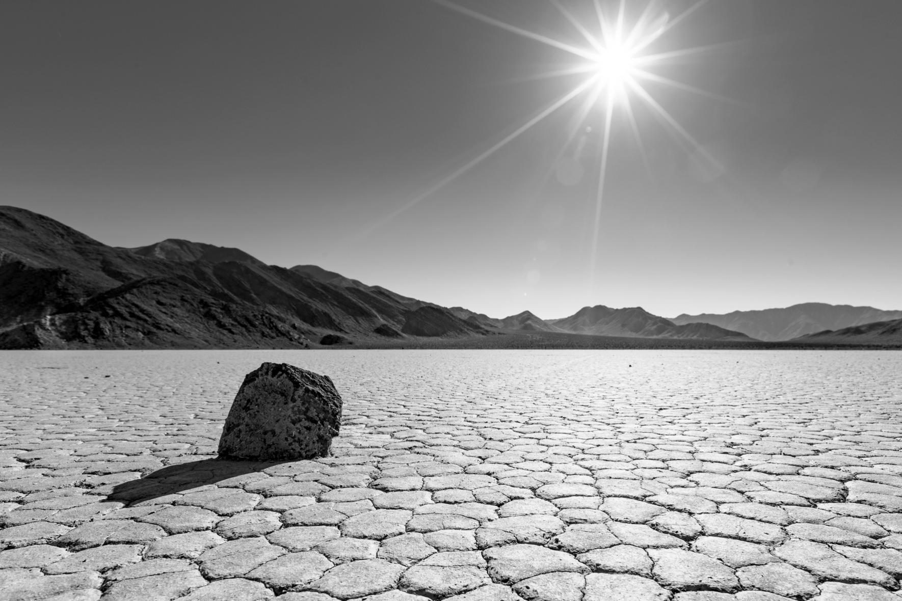 Étiquette À Bagage Egypte, Le Caire. Un Chameau Solitaire