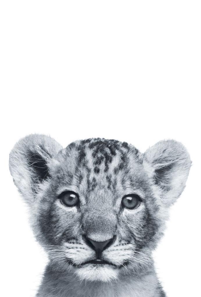 Lionceau Blanc L 10 X H 15 Cm Leroy Merlin