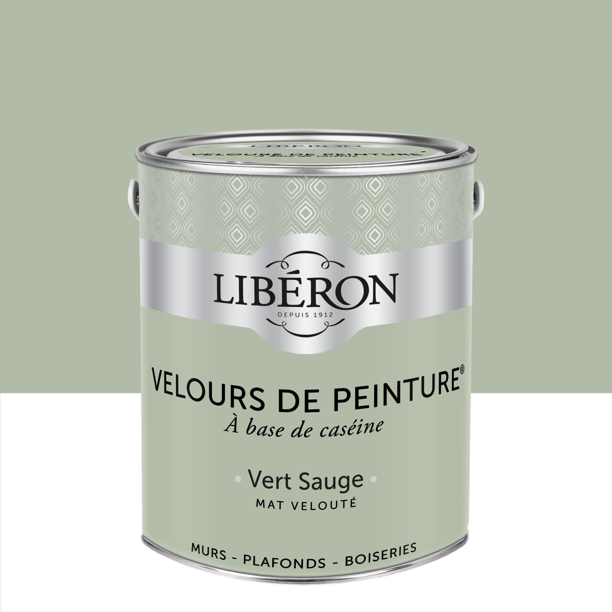 Peinture Mur Boiserie Radiateur Liberon Vert Sauge Velours 2 5 L Leroy Merlin
