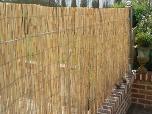 Cloture de roseau naturel 2x5m