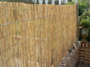 Canisse bambou epais diametre moyen 3,5cm - 1,5m x 2m