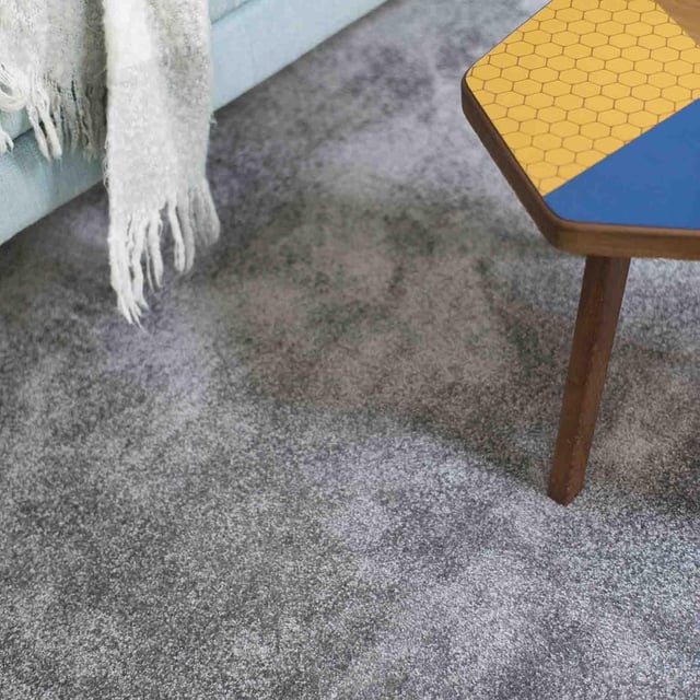 Dalle moquette velours ras BALSAN Ultrasoft gris foncé L.50 x l.50 cm