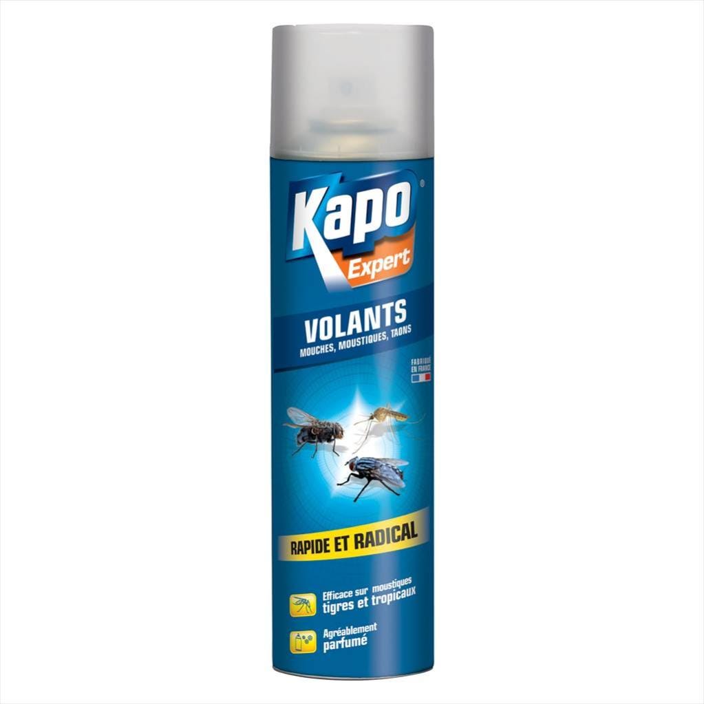 Insecticide aérosol punaises de lit KAPO, 400 ml, Leroy Merlin