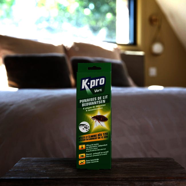 Pièges à punaises de lit Kapo vert (x 5)