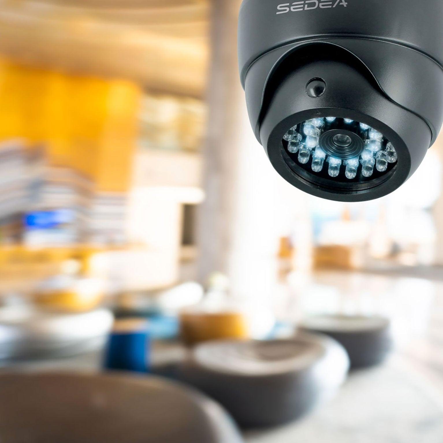 Relaxdays Fausse caméra de surveillance intérieur extérieur caméra factice  lampe LED murale sécurité cambrioleur voleur, grise