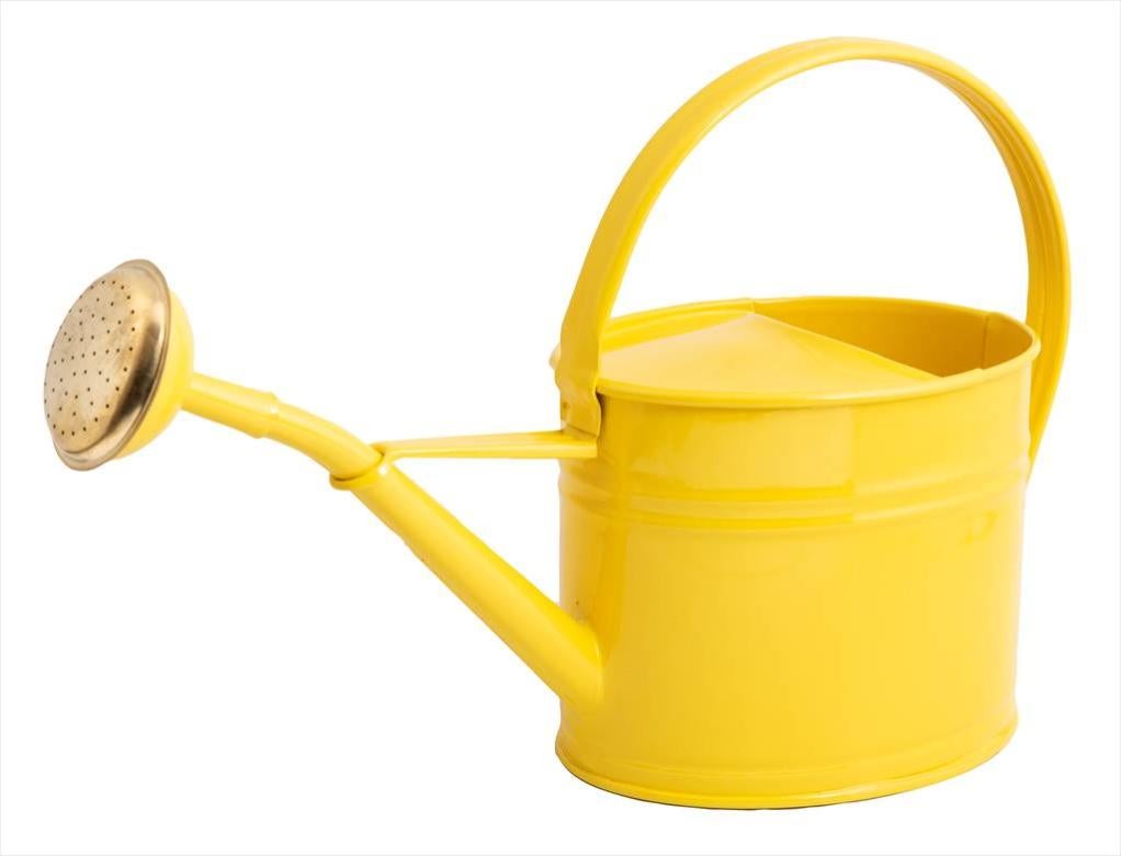 Arrosoir Métal GUILLOUARD 13L Avec Pomme - Acier Galvanisé Solide - Idéal Jardin