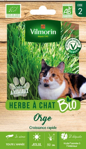 Herbe à chat BIO pot de 10,5cm - Gamm vert