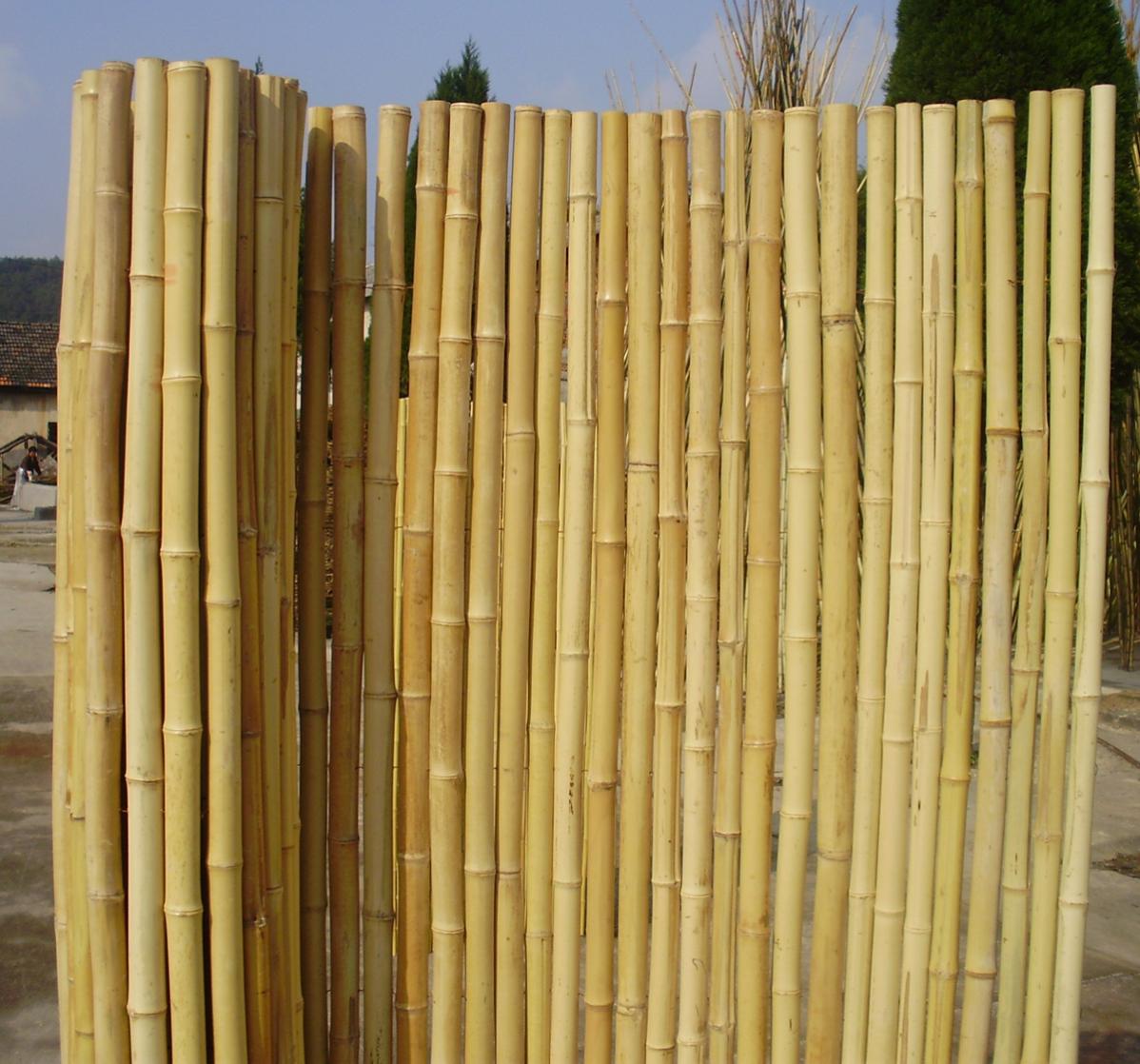 Canisse bambous ronds 1 x 2 m, 90% occultant