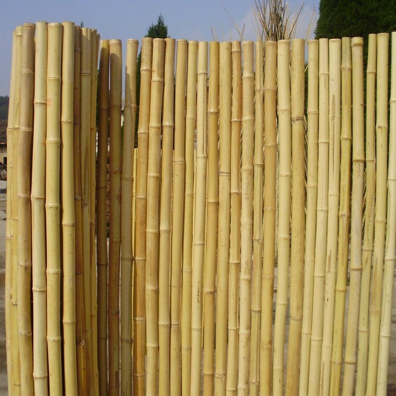 Canisse bambous ronds 1,5 x 2 m, 90% occultant