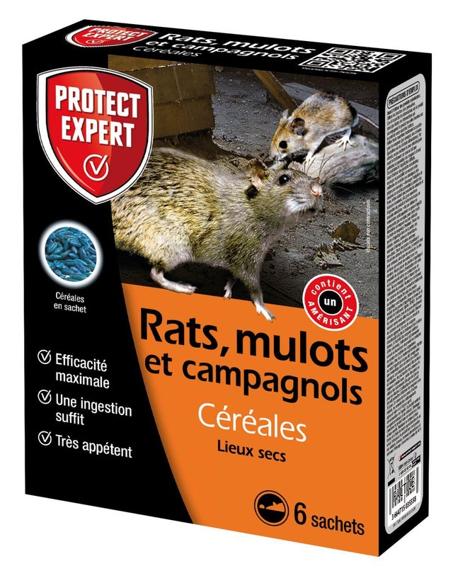 Subito - Plaque collante attrape souris rats et insectes rampants