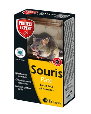 ULTRASONIC DEFEND SOURIS & RATS / SOURIS MEDIUM pc/pce