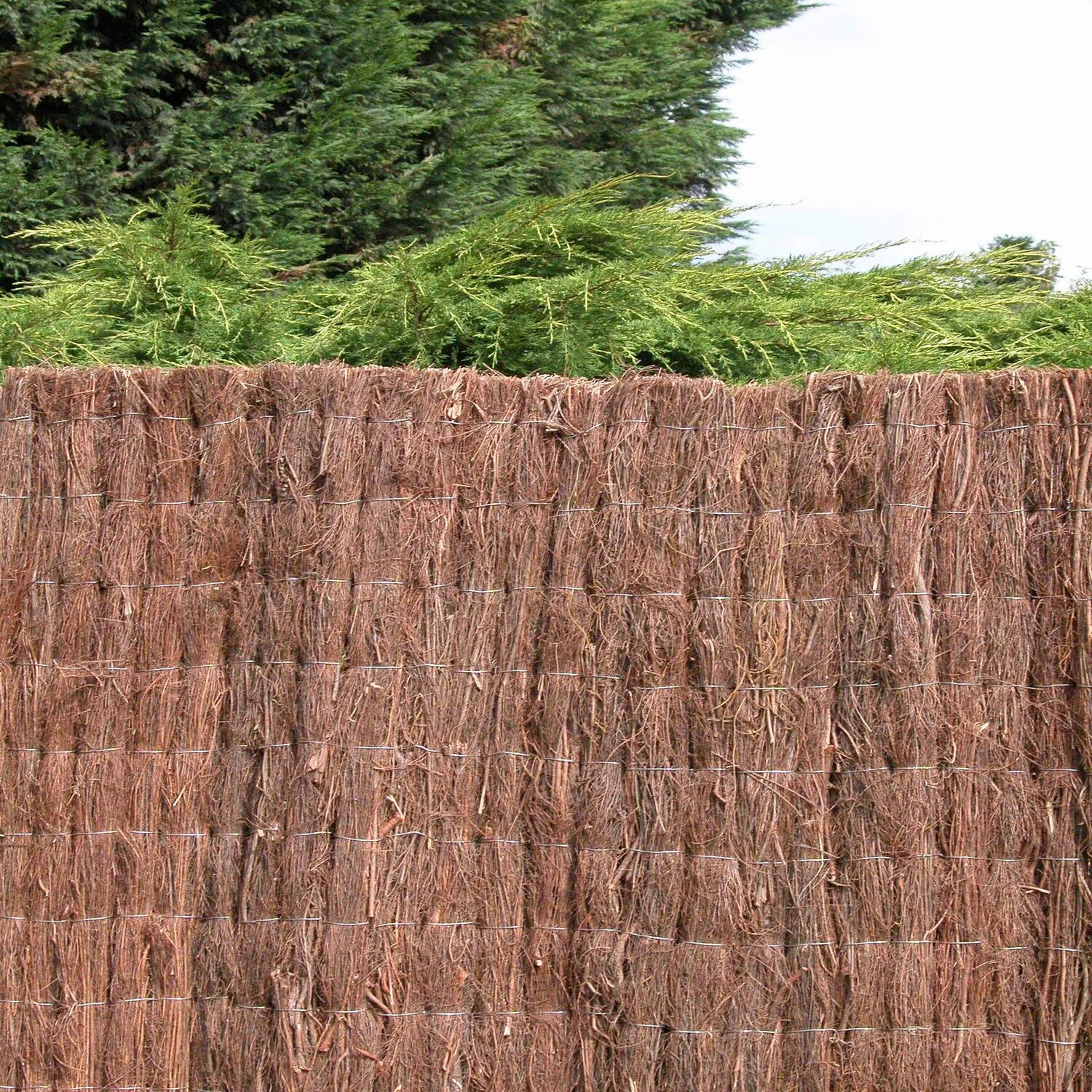 Brande de bruyère brise-vue naturel 5 m – Medium Plus