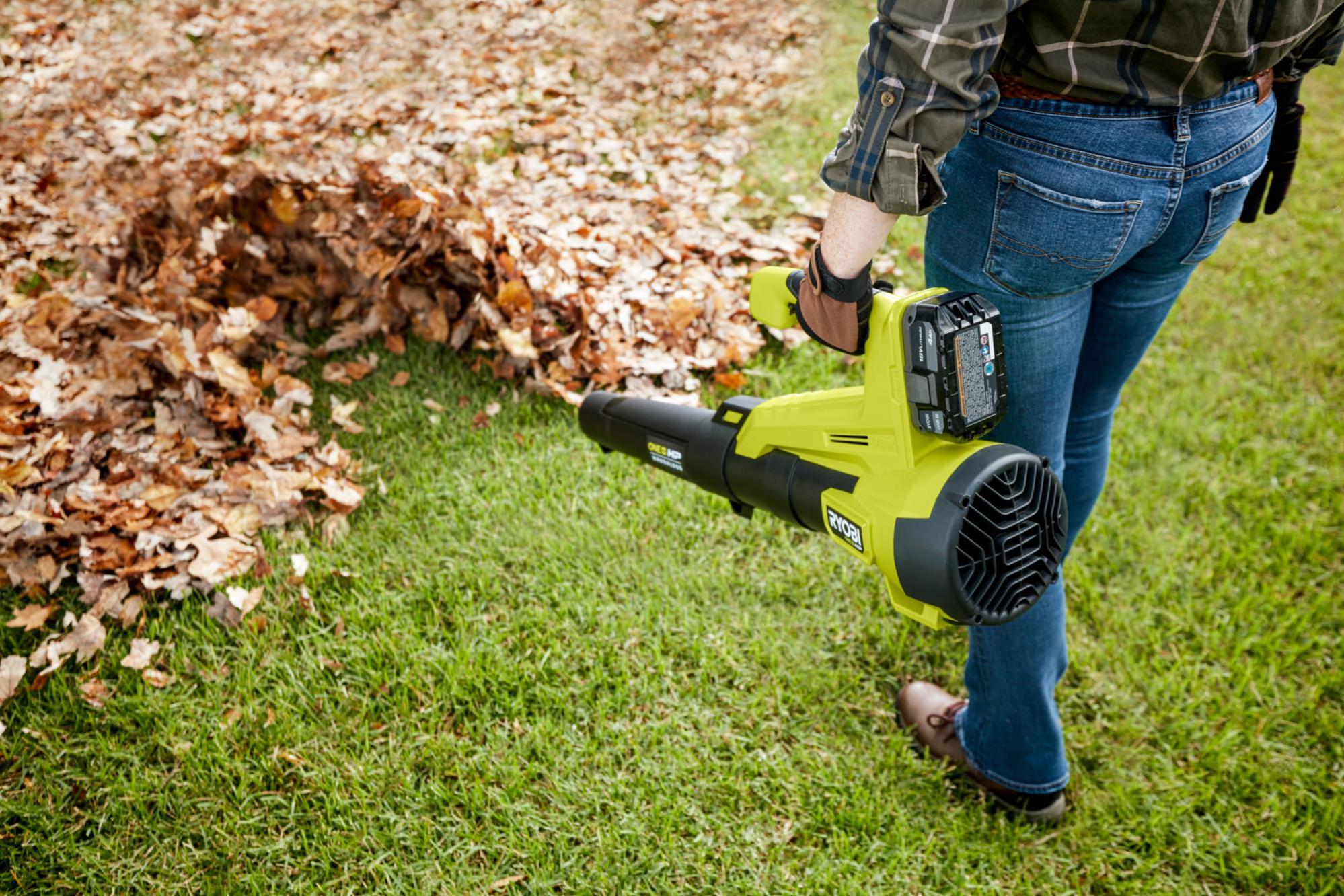 Leaf Blower Pussy