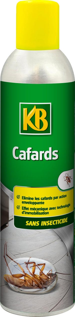 Spray insecticide Cafards et Blattes - Destructeur et barrage à insecte