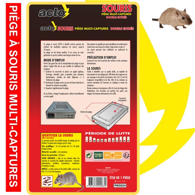 RATS & SOURIS 10 pièges