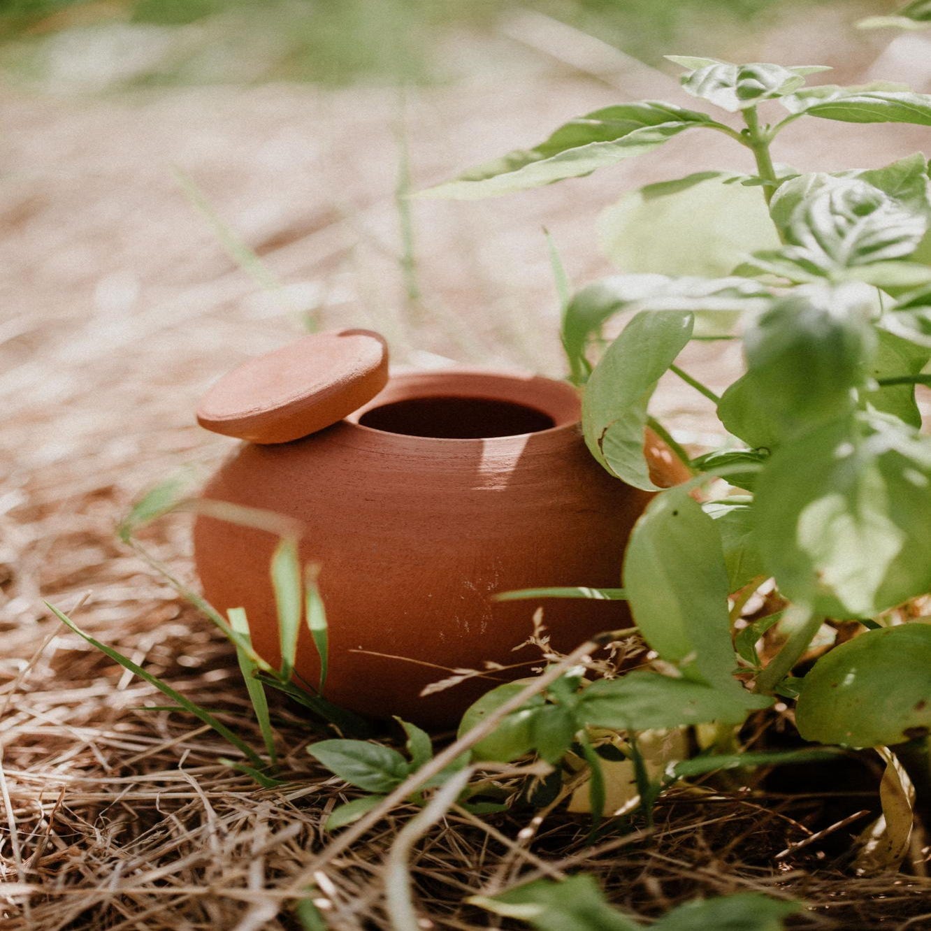 Olla en terre cuite à planter émaillée jaune - Diffuseur d'eau naturel –  Maison Fertile
