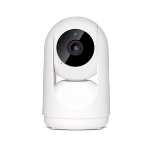 Caméra dôme non motorisée 1080P filaire intérieure / extérieure 1080P -  YALE SMART LIVING - - Domo Confort