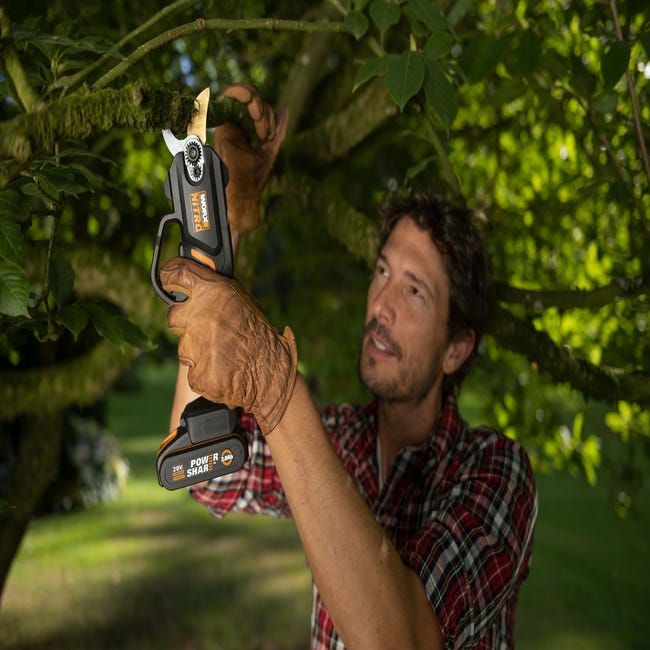 TROTEC Sécateur de jardin sans fil PGSS 15-20V avec assistance électrique  au meilleur prix