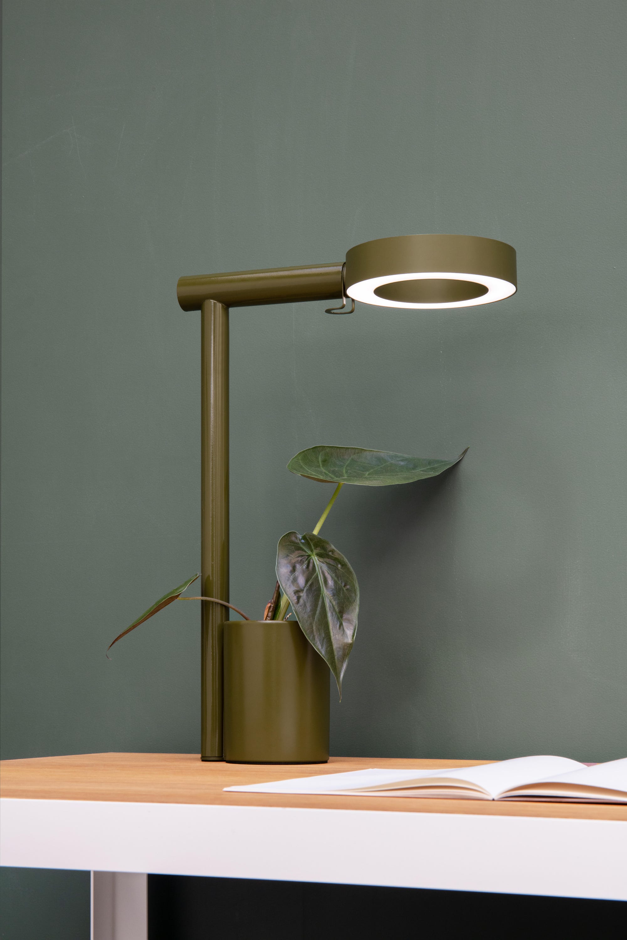 Lampe de bureau Designerbox Ora, tête ringlight nomade, lumière
