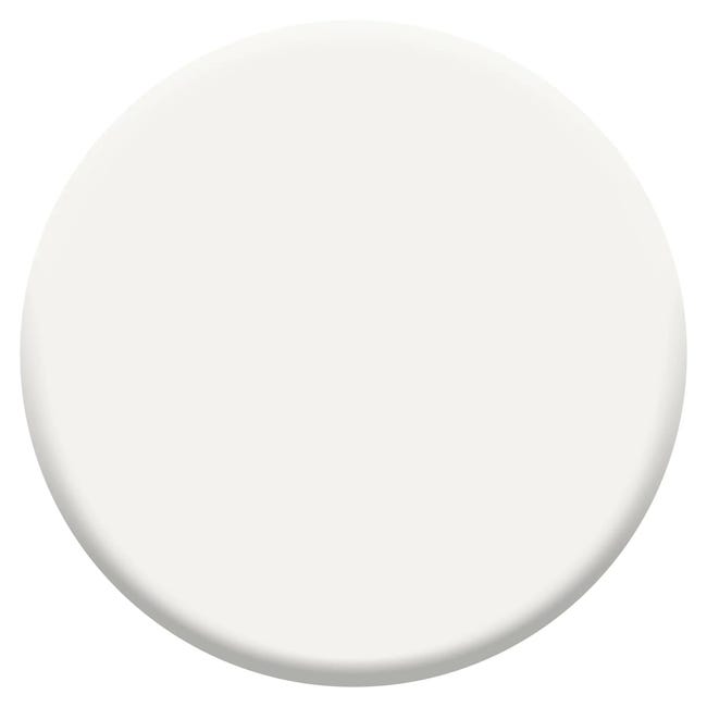 Peinture aérosol pour Radiateur - Mat Blanc - 400 ml - Julien