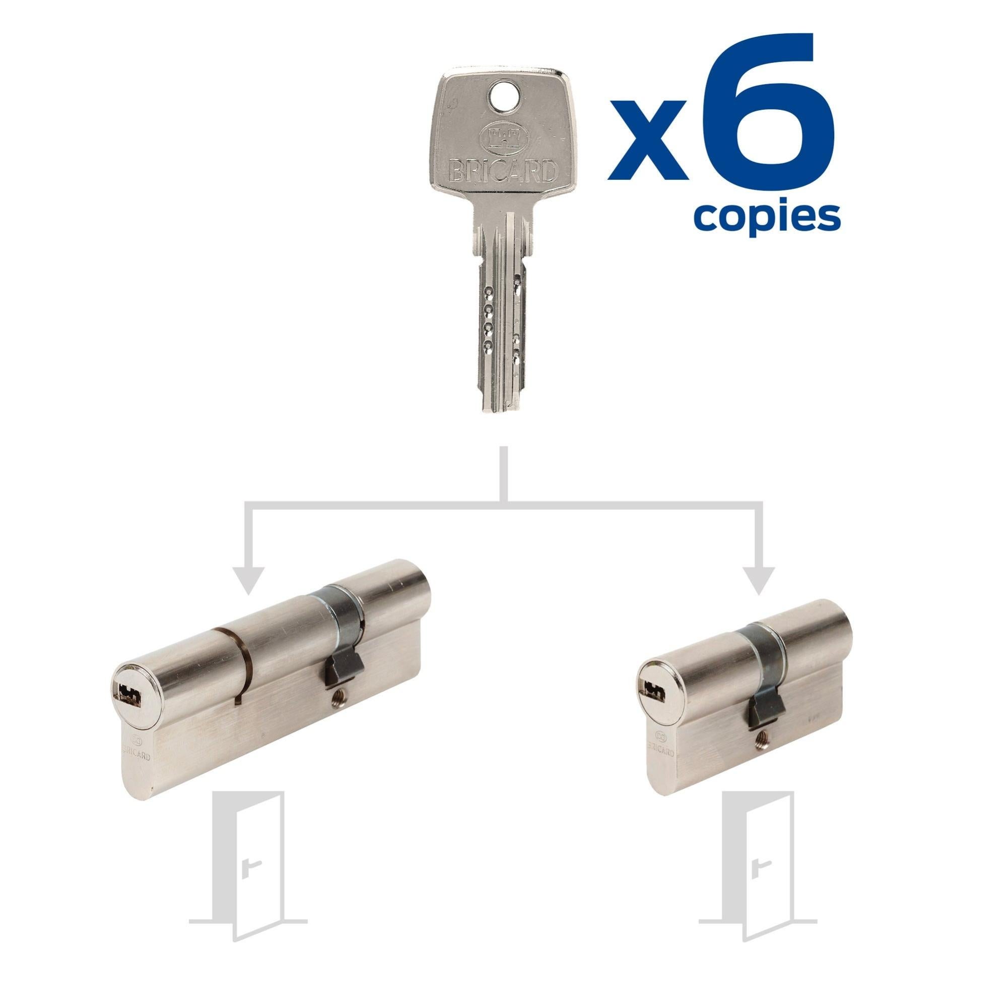 10 Cylindres De Serrures à Clé Identiques - Compatibles STS/ZADI - Pour Caravane, Camping-car