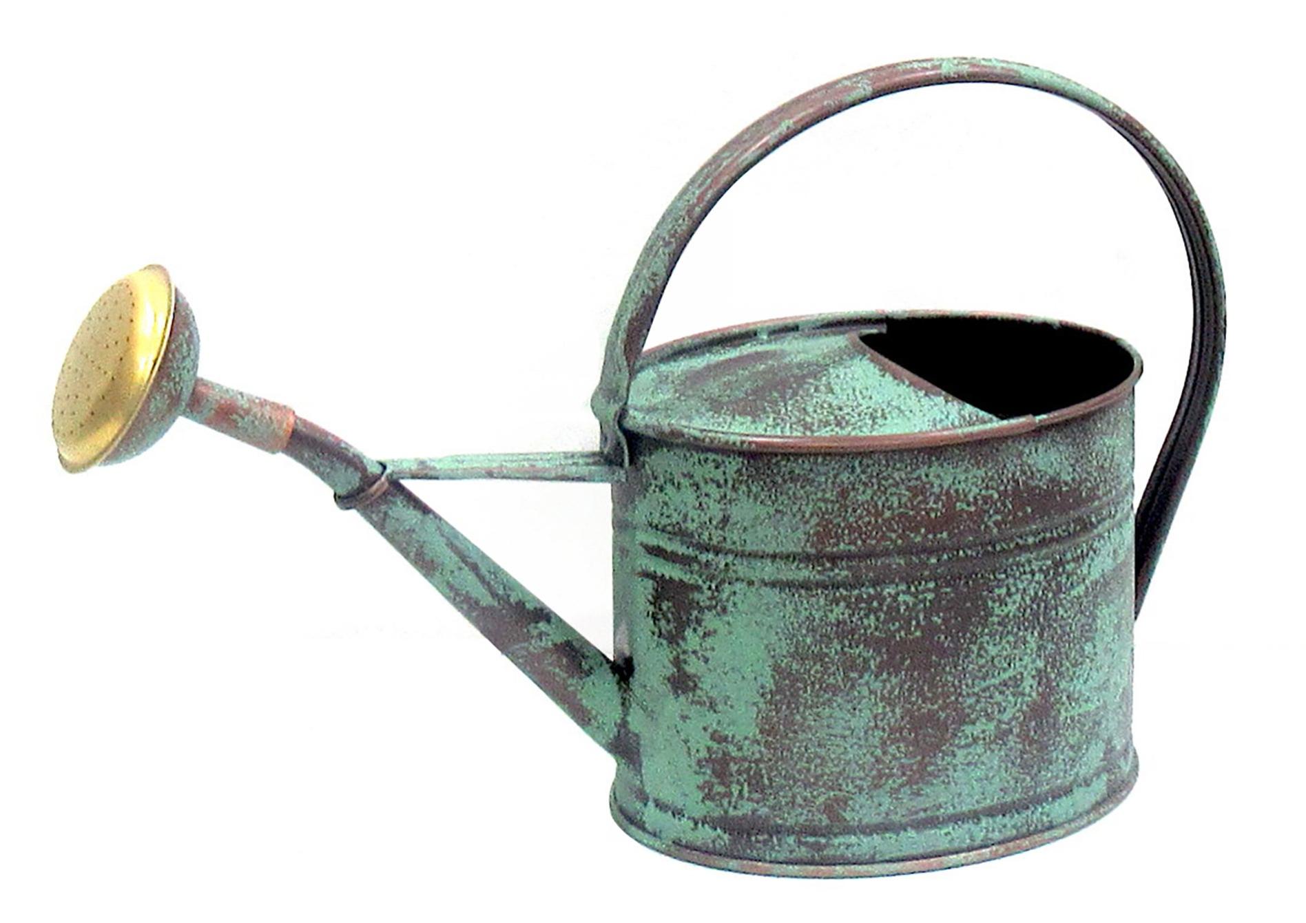 Arrosoir Plastique Vert Classique 14L - Bec Verseur, Pour Jardin Et Plantes