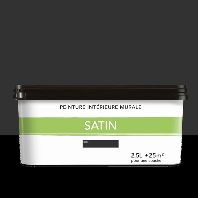 Peinture noire Leroy Merlin