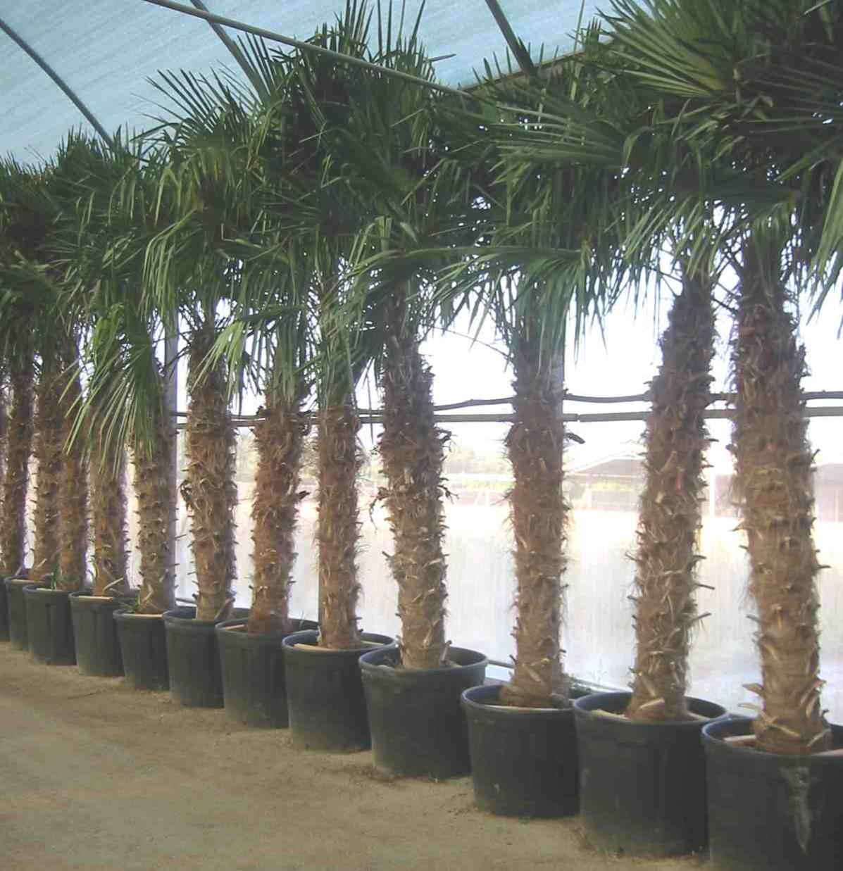 Panno in poliestere morbido 100 cm x h=170 cm per | FindTheDeal