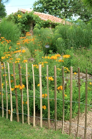Relaxdays Treillis jardin en bois extensible 200 cm, Clôture grillage  pliable, Plante grimpante Brise-vue balcon, flambe
