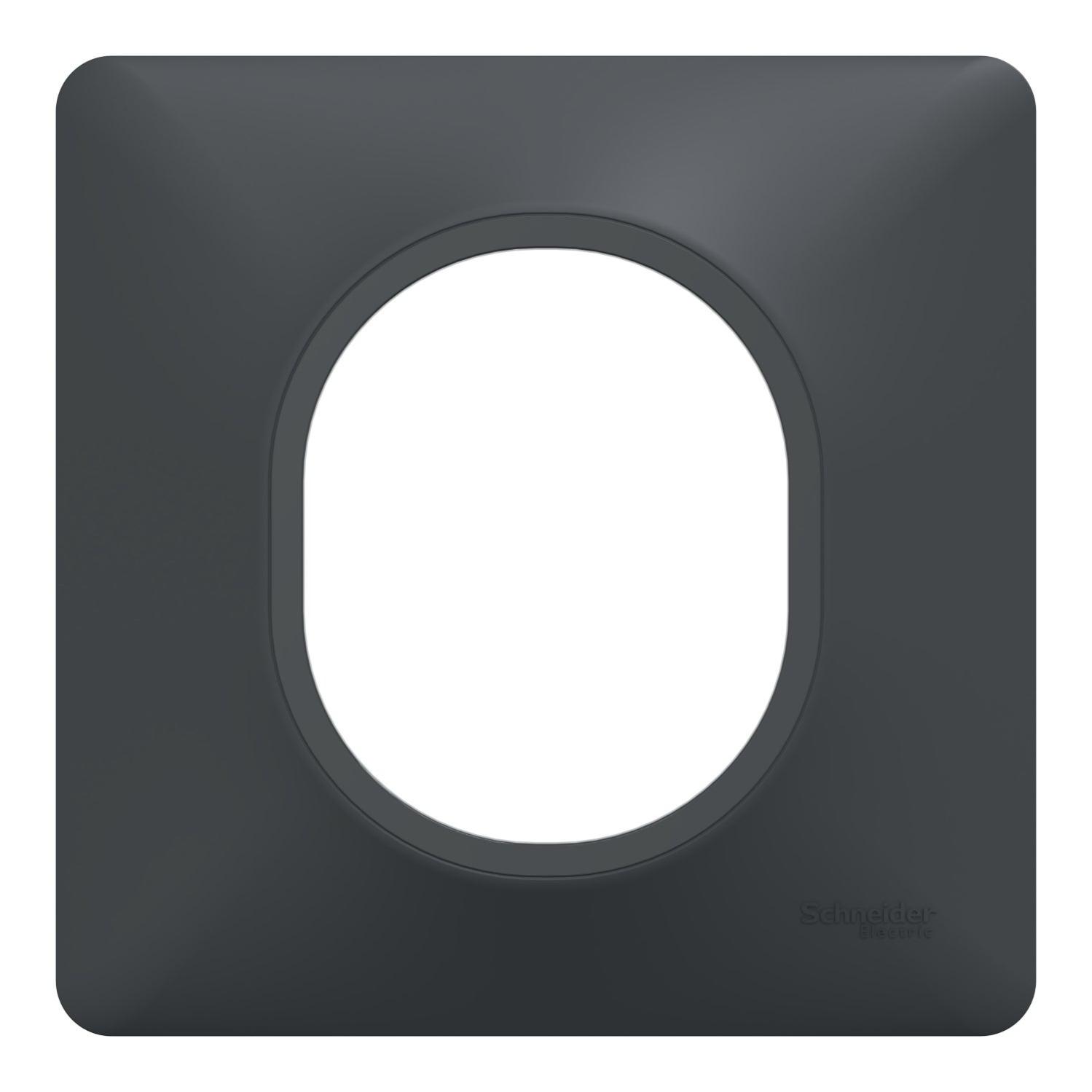 Plaque simple Ovalis, SCHNEIDER ELECTRIC, anthracite Leroy Merlin