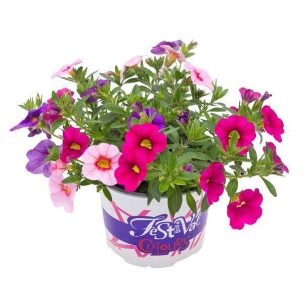 Million Bells Festival P12 H.15cm Leroy Merlin