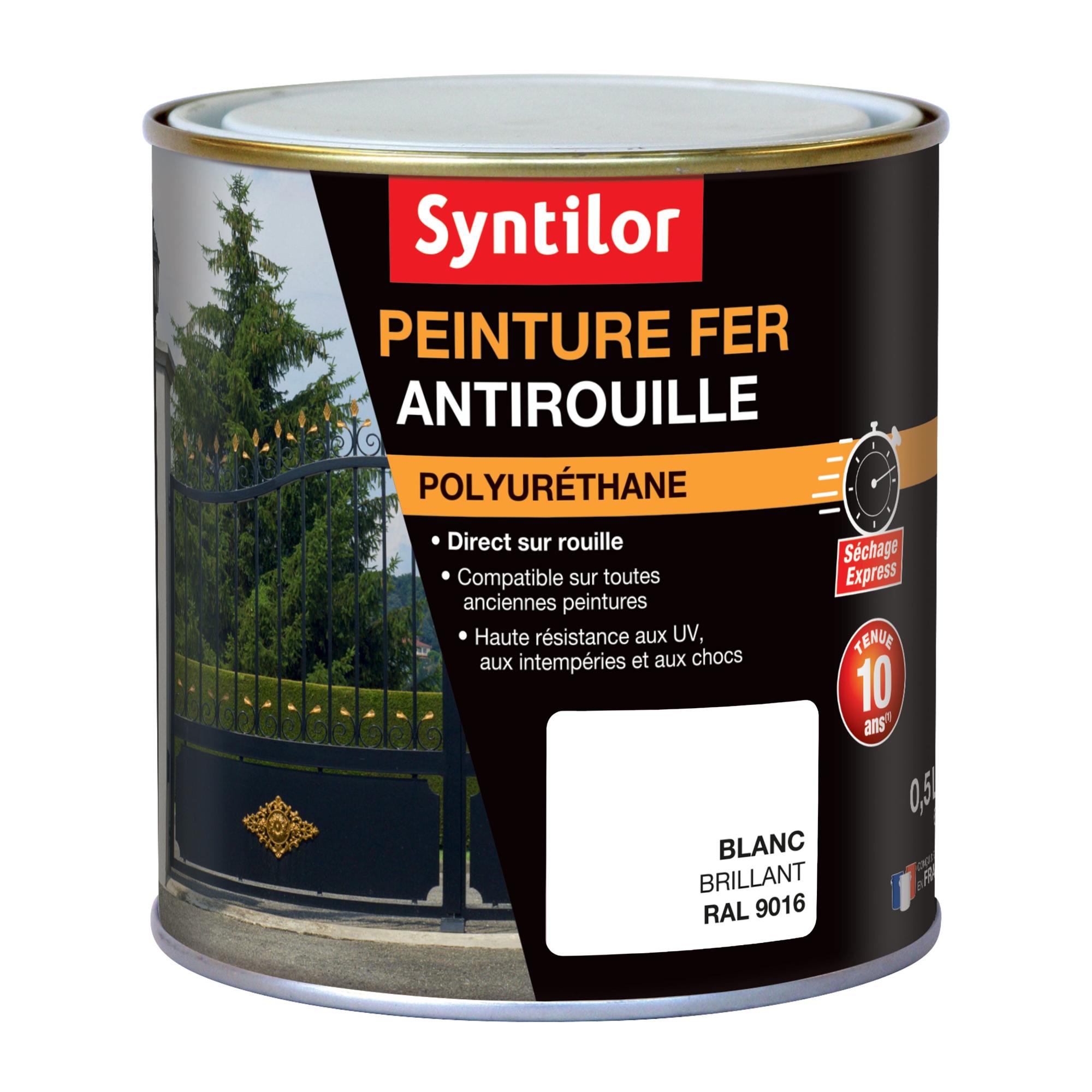 Peinture extérieure fer Direct sur rouille SYNTILOR blanc brillant 0.5l Leroy Merlin
