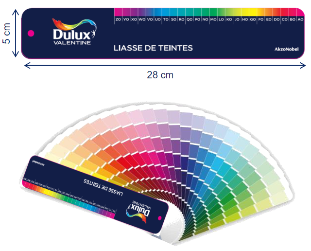 Nuancier Ma Couleur Sur Mesure DULUX | Leroy Merlin