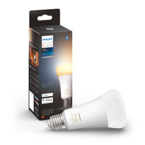 Philips ampoule LED Standard E27 100W Blanc Chaud Dépolie, Verre, 2 Unité  (Lot de 1) : : Luminaires et Éclairage