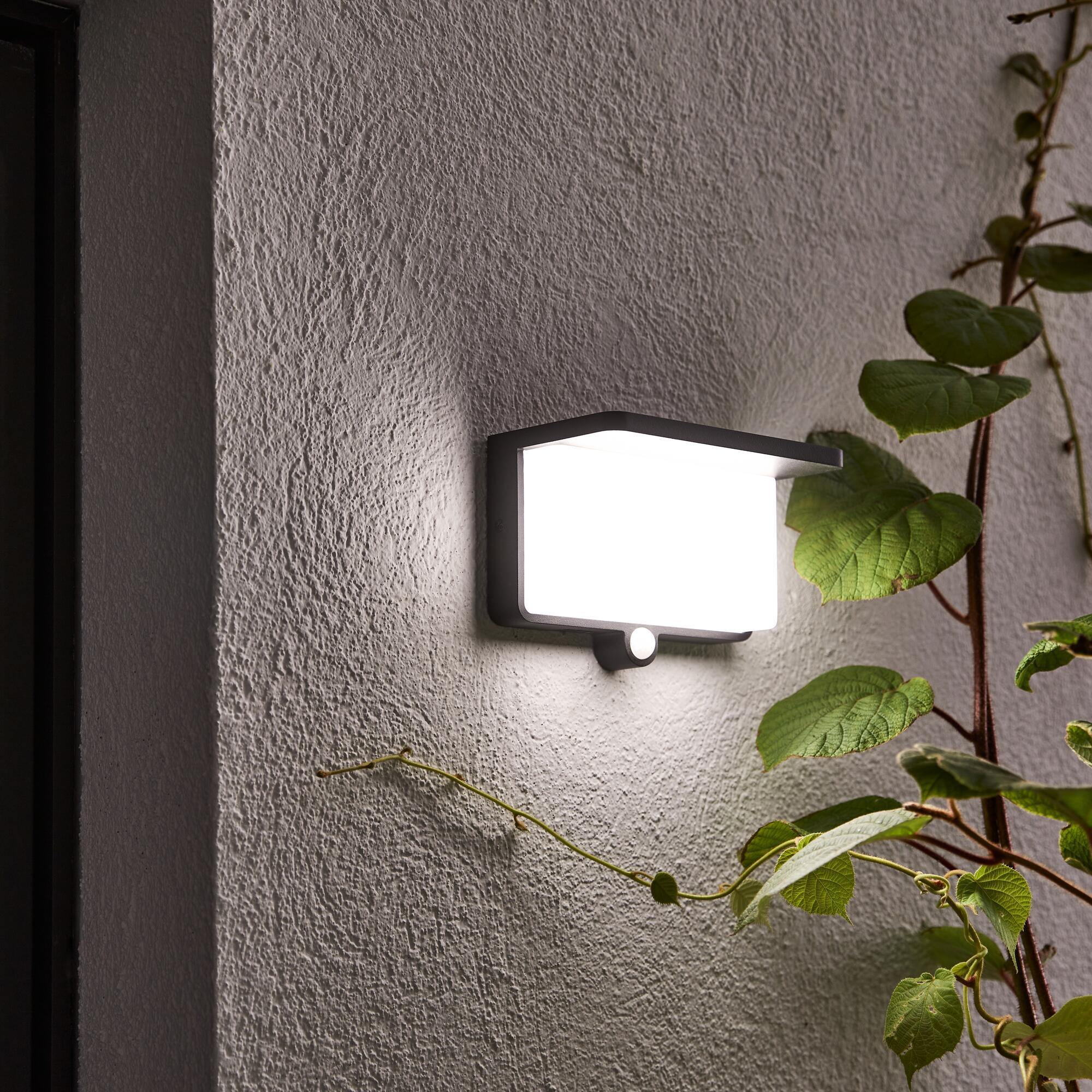 Applique Murale Extérieur Lampe de Jardin Inox Détecteur Mouvement LED H 27  CM