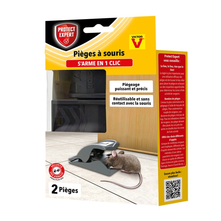 Protect expert boitsou boîte appât souris avec clé de fermeture - pex  PRO3664715030133 - Conforama