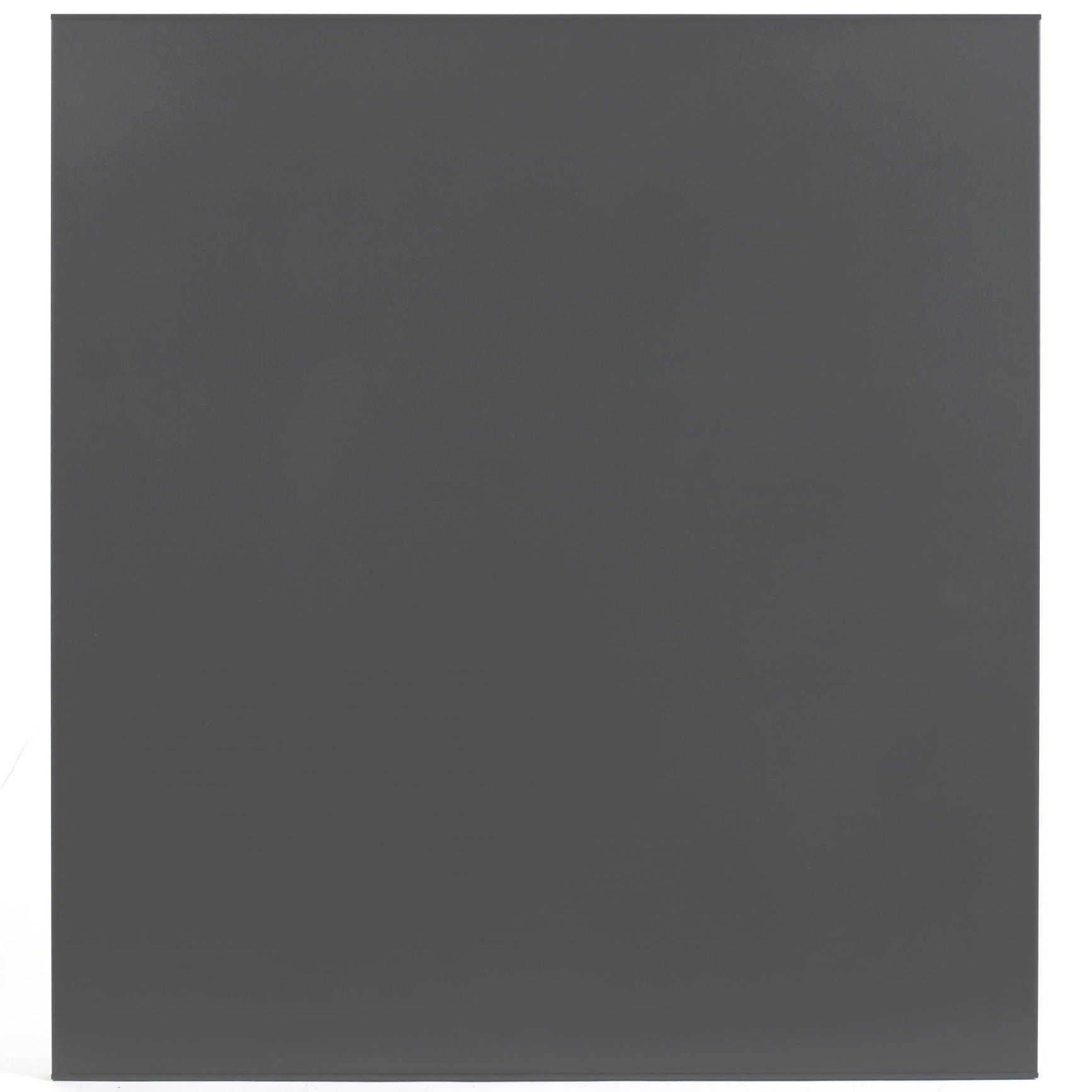 Plaque de protection murale noir DIXNEUF Unie l.81 cm x H.120 cm