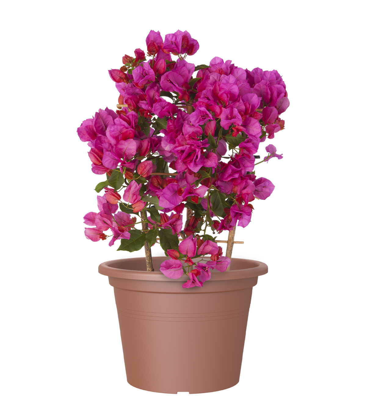 Vaso In Plastica Venezia, Color Terracotta, 22Cm