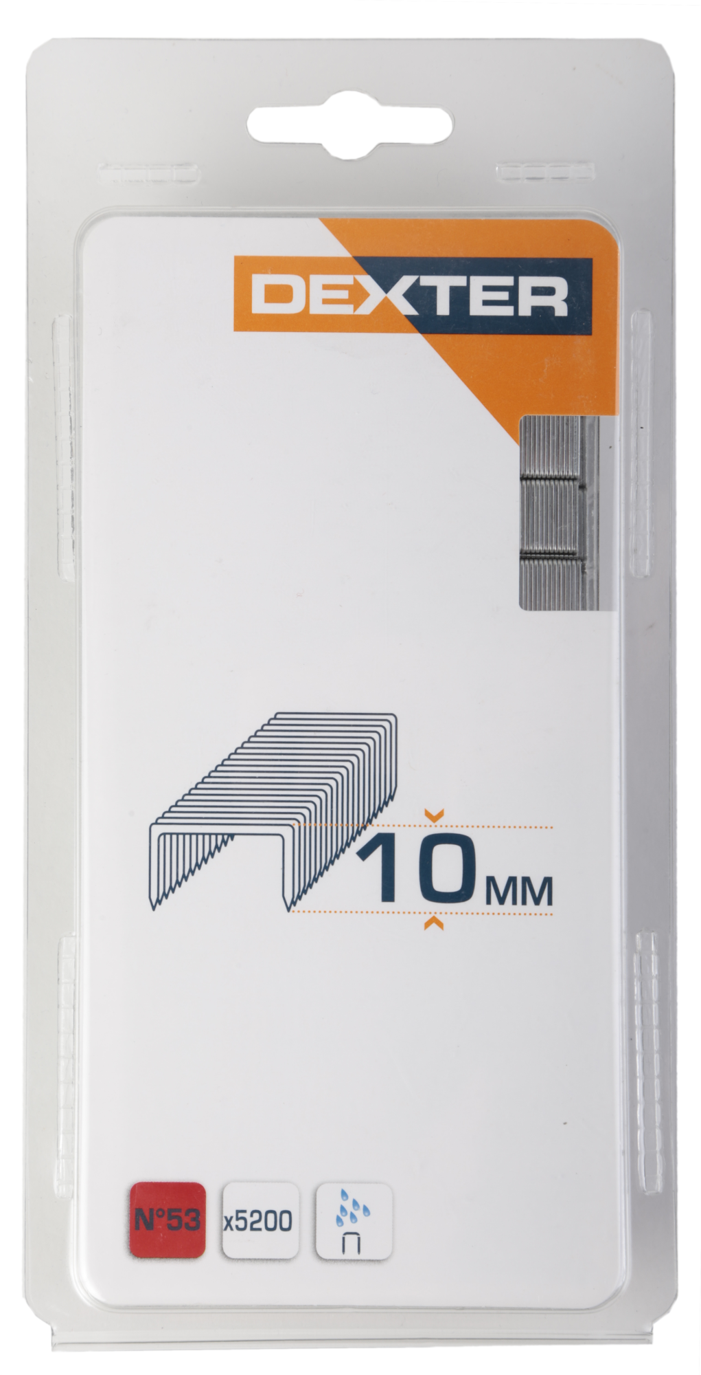 Graffa DEXTER N53 L 10 mm H 1 cm 5200 pezzi | Leroy Merlin
