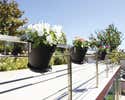 Vaso Con Supporto ARTEVASI Capri In Polipropilene Bianco H 30 Cm, L 60 X L 30 Cm 35845026 Vaso Con Supporto ARTEVASI Capri In Polipropilene Bianco H 30 Cm, L 60 X L 30 Cm 35845026
