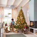 Copri base per albero di Natale SAPIN Naturale 60 cm Giacinto d'acqua Copri base per albero di Natale SAPIN Naturale 60 cm Giacinto d'acqua