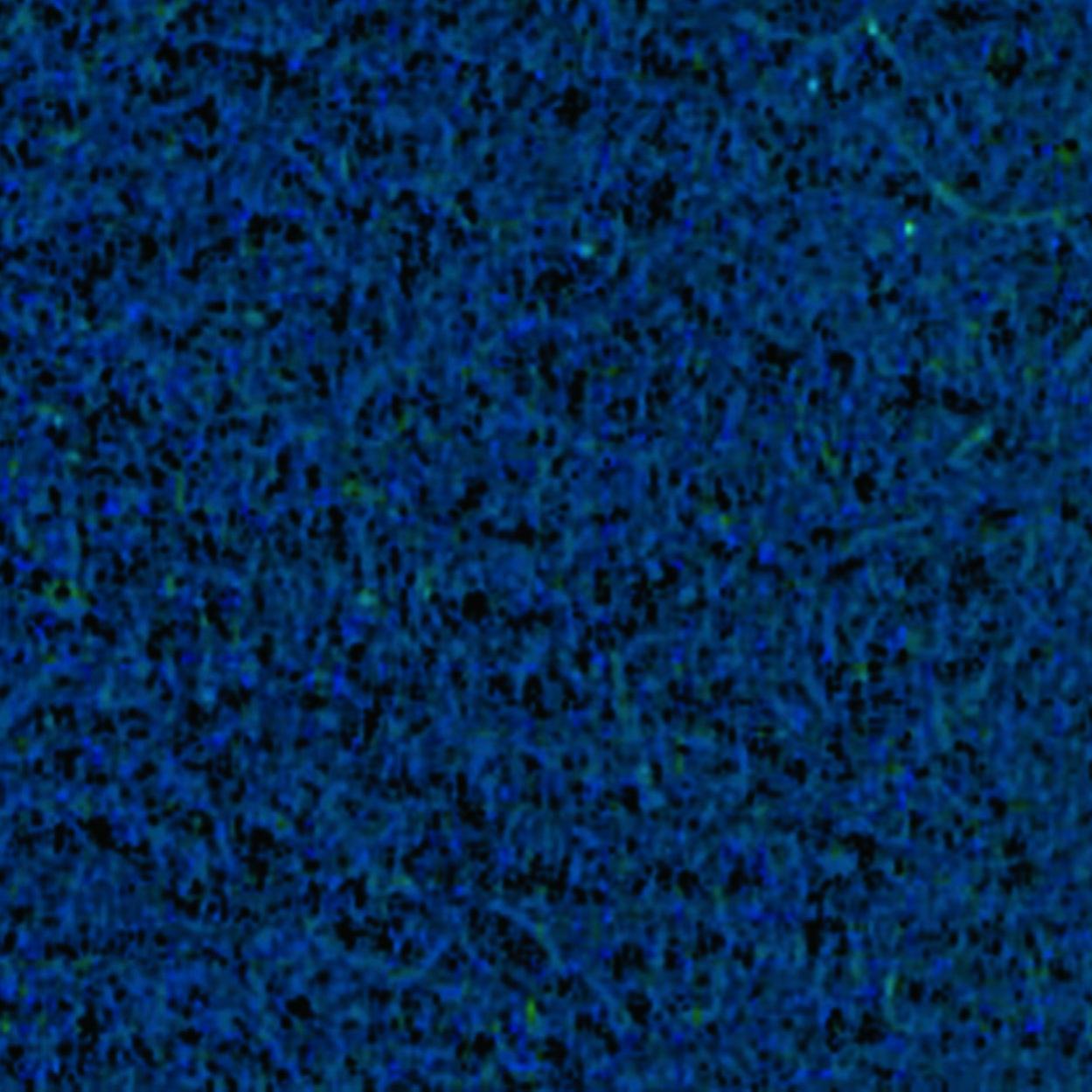 Moquette Da Esterni Giard&igrave; Blu - 200x300cm, Spessore 6mm, Resistente Ad Acqua E Intemperie