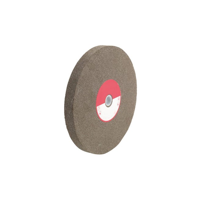DISCO ABRASIVO LAMELLARE WORKDIAMOND 115mm DIAMANTATO GRANA 60 PER GRESS CERAMICA PIETRA DISCO ABRASIVO LAMELLARE WORKDIAMOND 115mm DIAMANTATO GRANA 60 PER GRESS CERAMICA PIETRA